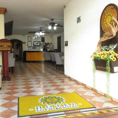 Hotel Los Girasoles Tepic Exterior photo